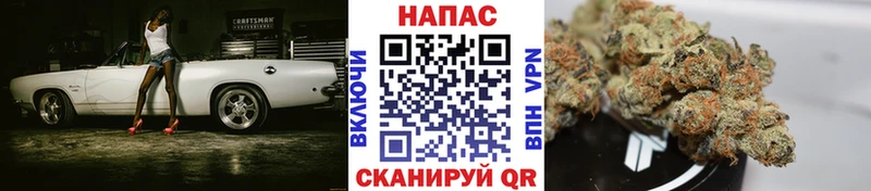 Купить где  Горнозаводск  МАРИХУАНА OG Kush 